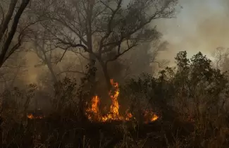 cordoba-incendios