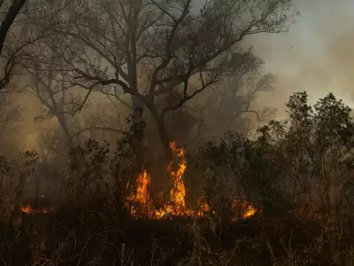 cordoba-incendios