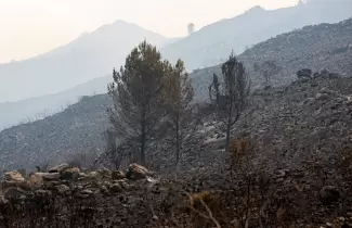 incendio-sierras-cordoba