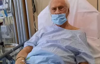 pino-solanas