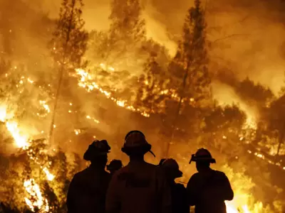 incendios-2
