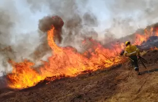 incendios-forestales
