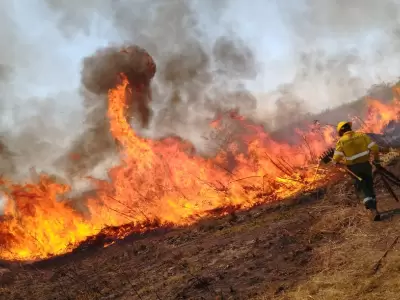 incendios-forestales