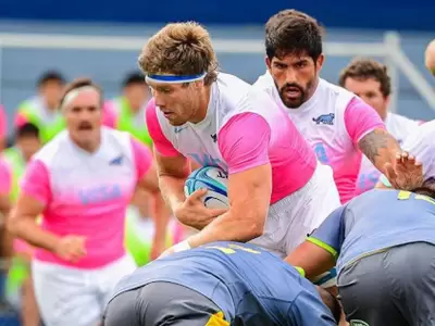 rugby