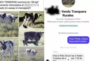 CAMPO-