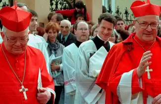 cardenal-pedolofilo