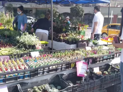 Paseo-de-las-plantas