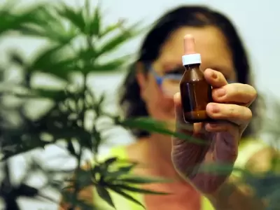 cannabis-1