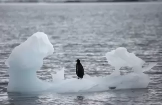 iceberg