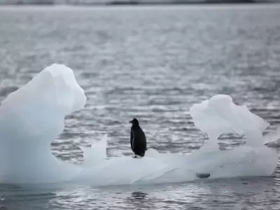 iceberg