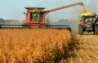 campo