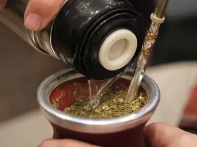 yerba-mate