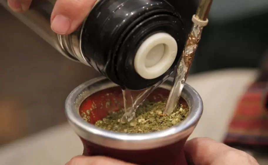 yerba-mate