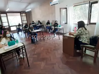 clases-lapachos