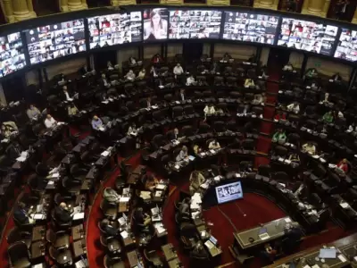 diputados