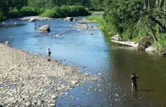 pesca