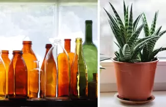 botellas-plantas