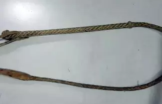 latigo