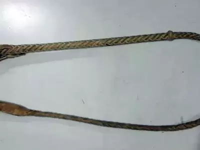 latigo
