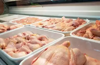pollo