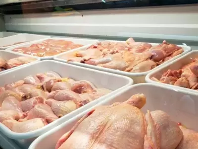 pollo