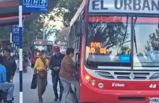 colectivo