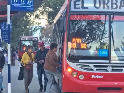 colectivo