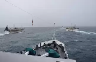 barcos