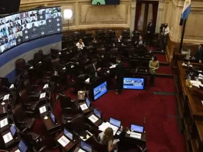 senado-impuesto-a-la-riqueza1