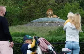 leones