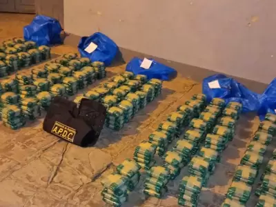 hojas-de-coca-secuestradas