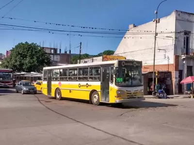 cole-va