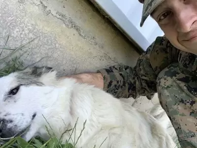 perro