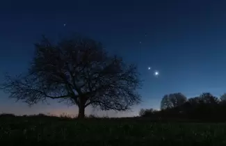 estrella-de-belen-1