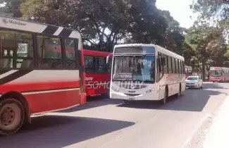 colectivos-1