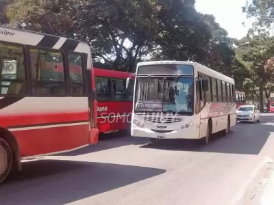colectivos-1
