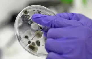 coronavirus-3
