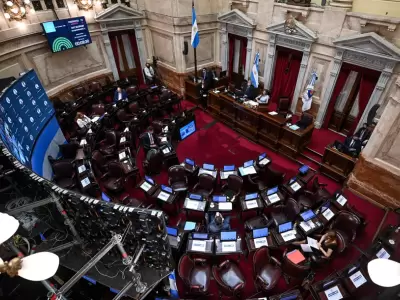 senado-4