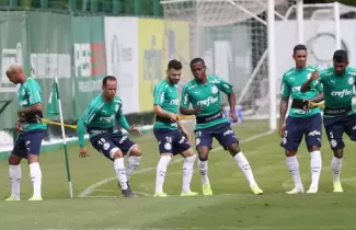 palmeiras