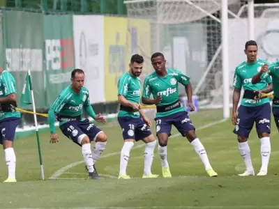 palmeiras