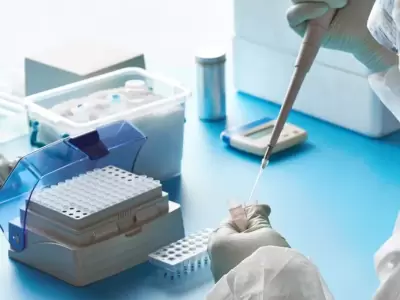 laboratorio-1