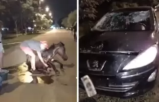 caballo-y-auto-choque-la-mendieta
