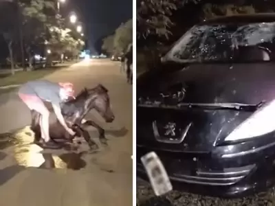 caballo-y-auto-choque-la-mendieta