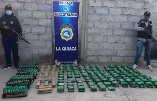 hojas-de-coca