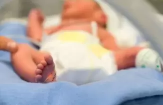 bebe
