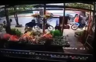 robo-flores