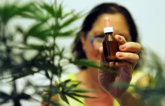 cannabis-1