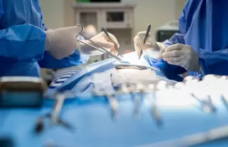 pulmones