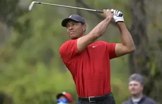 woods