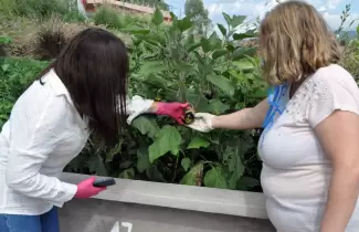 huerta
